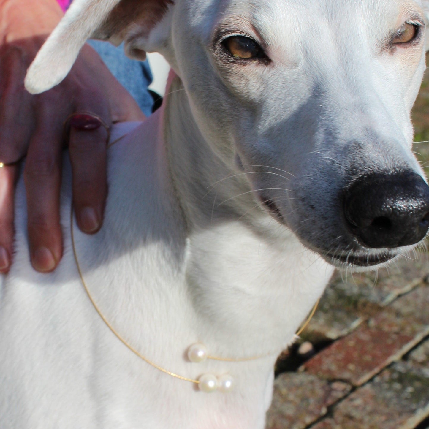 Round Asymmetric Neckwire with Round Freshwater Pearls